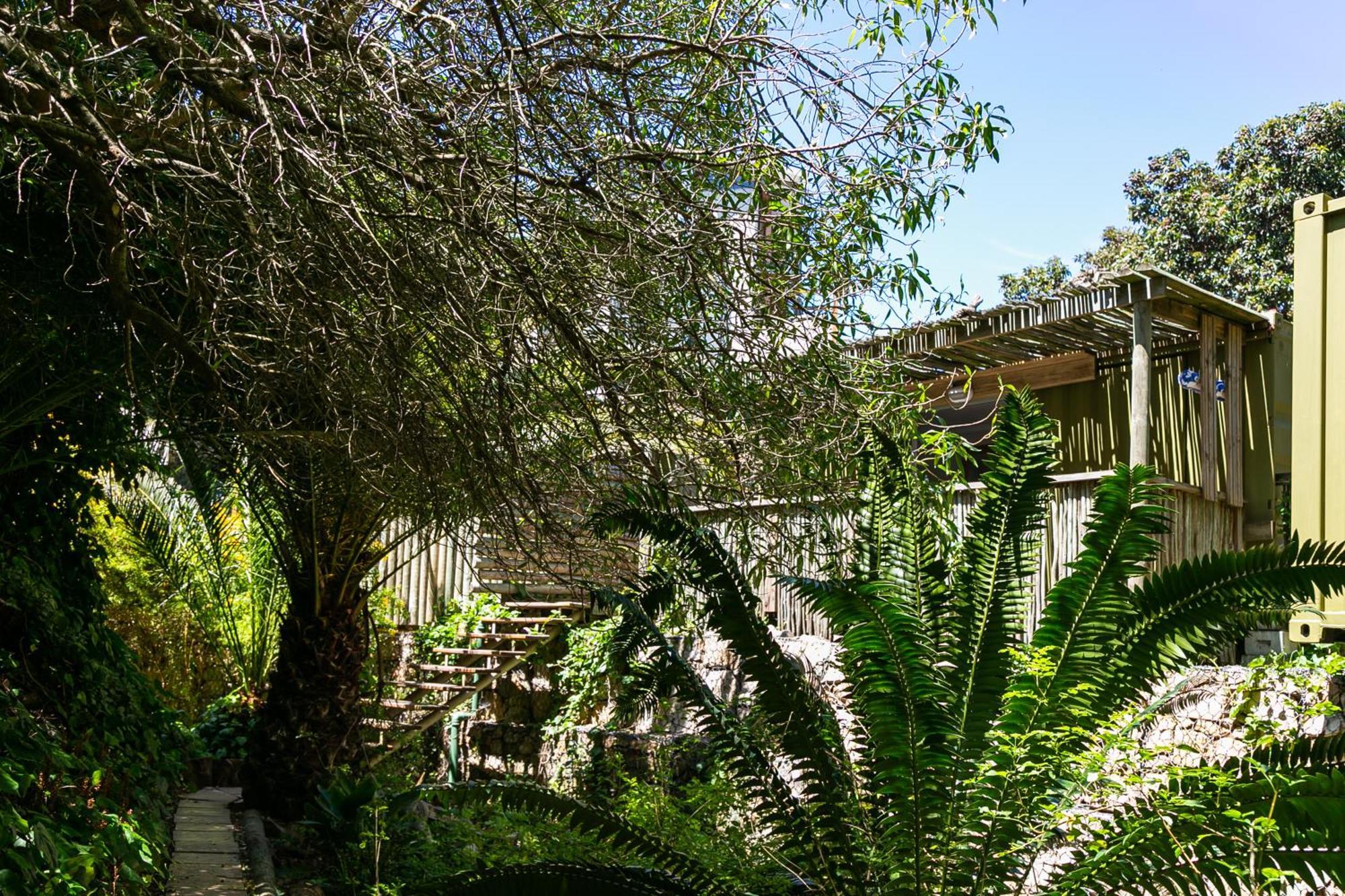 Camps Bay Forest Pods Kaapstad Buitenkant foto